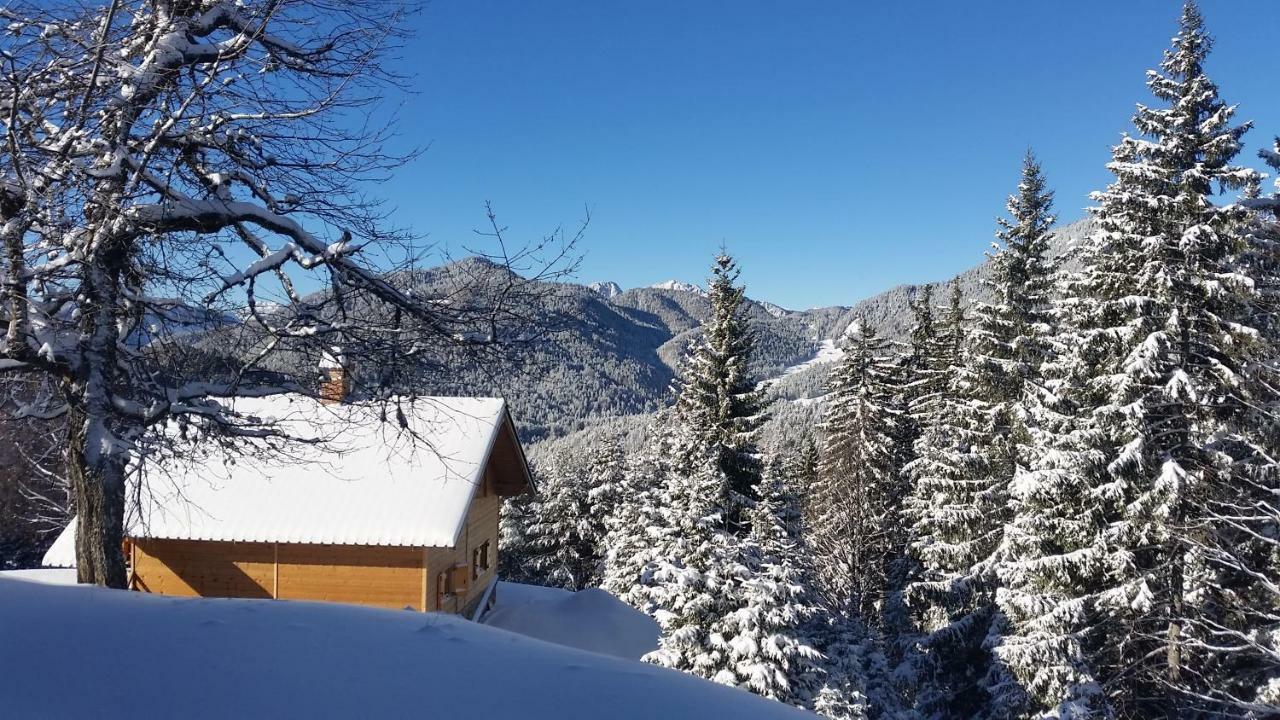 Vila Agriturismo Gacceman Ugovizza Exteriér fotografie